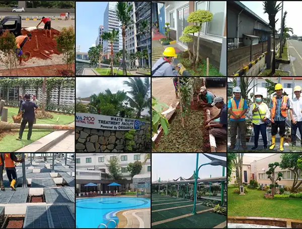 jasa pembuatan taman